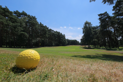 Golfplatz mit Golfball in Elmpt