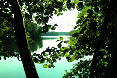 Venekotensee und Wald Venekotensee und Wald