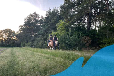 Zwei Reiter reiten auf einem Weg entlang von Bäumen auf der rechten Seite und einem Feld auf der linken Seite