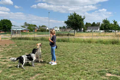 Eine Frau mit zwei Hunden auf der Hundewiese in Niederkrüchten. Im Hintergrund das Gebäude der Realschule.