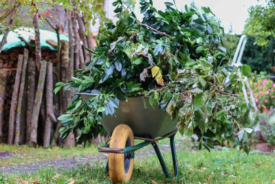 Eine Schubkarre mit Grünschnitt in einem Garten. Im Hintergrund aufgeschichtetes Brennholz.