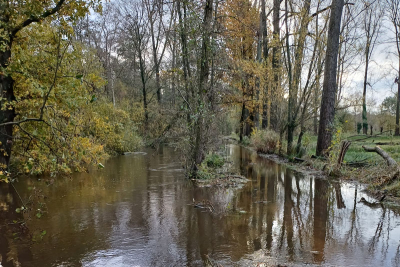 Überschwemmter Wanderweg entlang der Schwalm in Niederkrüchten. Der ist nur anhand des Verlaufs der Bäume zu erkennen, da die Schwalm über die Ufer getreten ist.