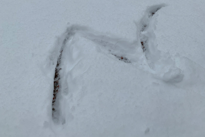 Der Buchstabe N in Schnee gemalt