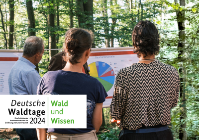 Ein Mann und zwei Frauen stehen im Wald vor zwei Flipcharts mit Diagrammen zum Baumbestand.