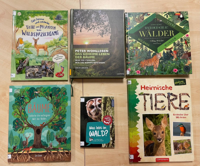 Bild mit Büchern zum Thema Wald. Auf den Büchern sind Bäume und Waldtiere abgebildet.