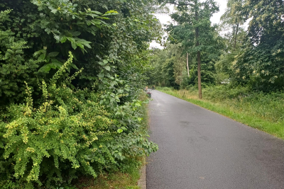 Blick in eine Straße im Ortsteil Venekoten. Links und rechts Sträucher.