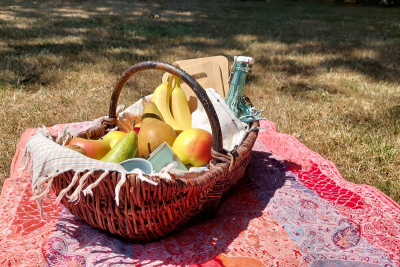 Ein Picknickkorb mit Äpfeln, Bananen und Birnen sowie einer Flasche und zwei Brettchen steht auf einer roten Decke, die auf einer Wiese liegt.